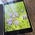 iPad mini 4 generación · foto 1
