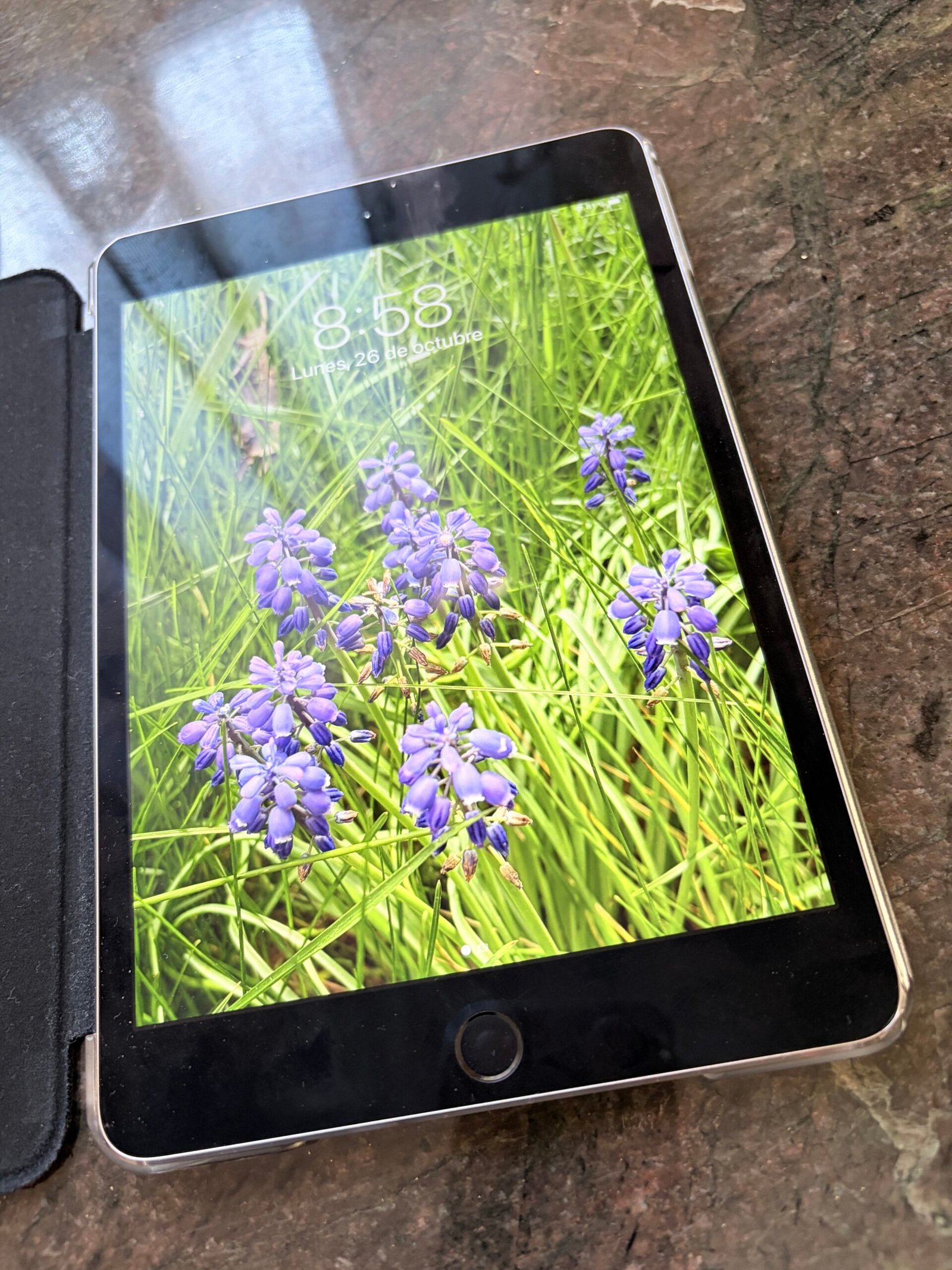iPad mini 4 generación